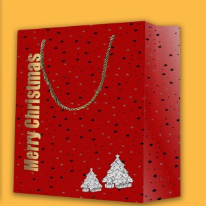 กระเป๋าถือ