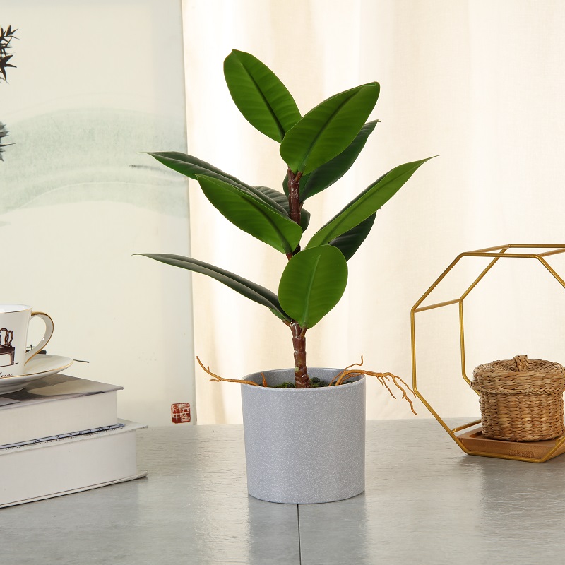 1638327967.jpg 12-.jpg