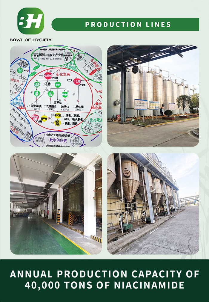 1704265209.jpg 3.jpg