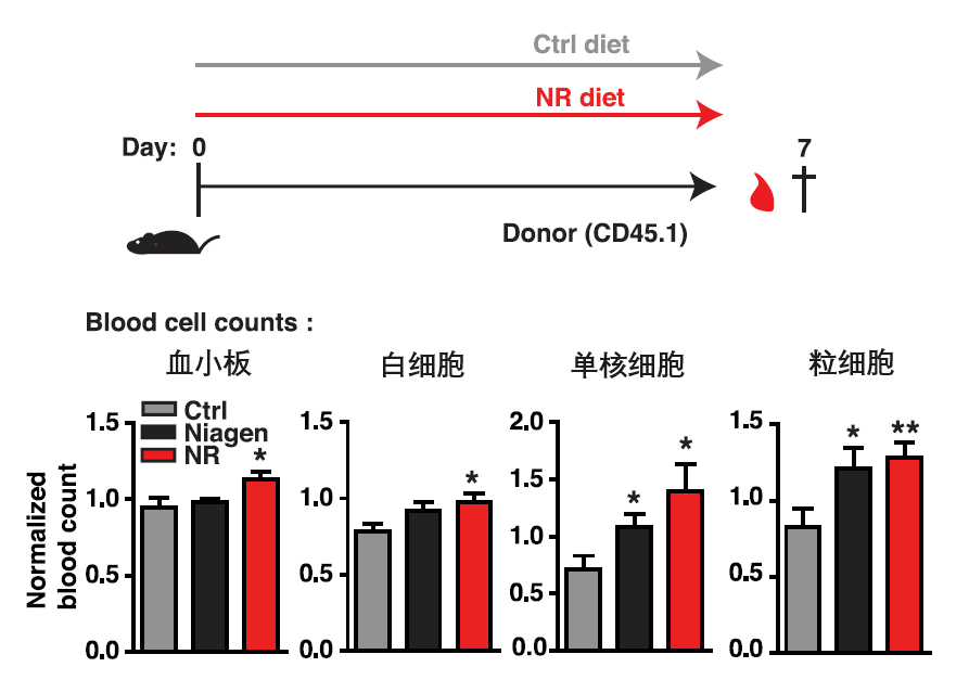 1709260365.png 图片 1.png