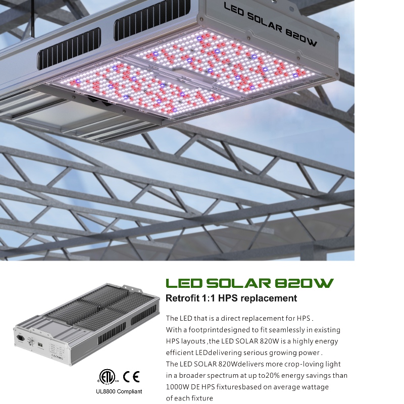 1703228985.jpg 1.jpg